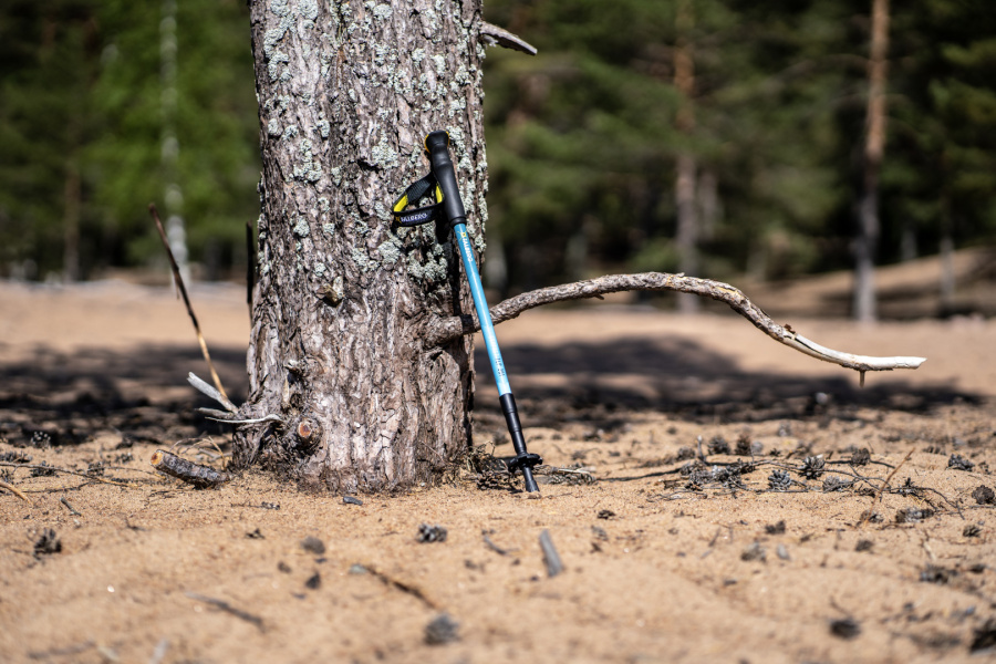 COMPACT POLE палки треккинговые_ (синий)