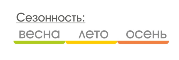 Talberg atol 3 палатка talberg (зелёный)