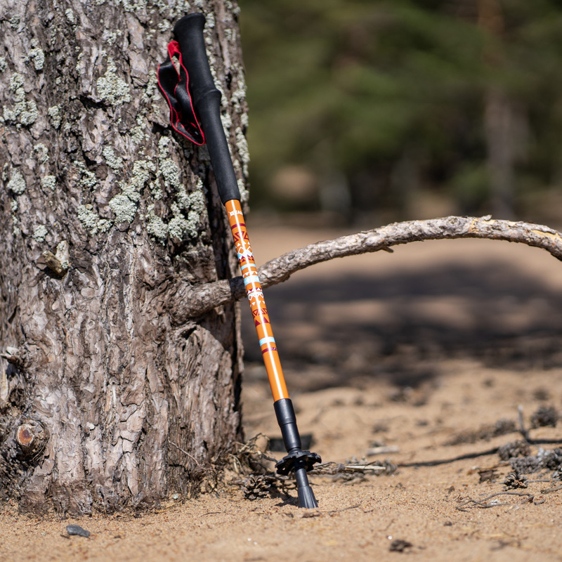 RANGER POLE палки треккинговые (коричневый)