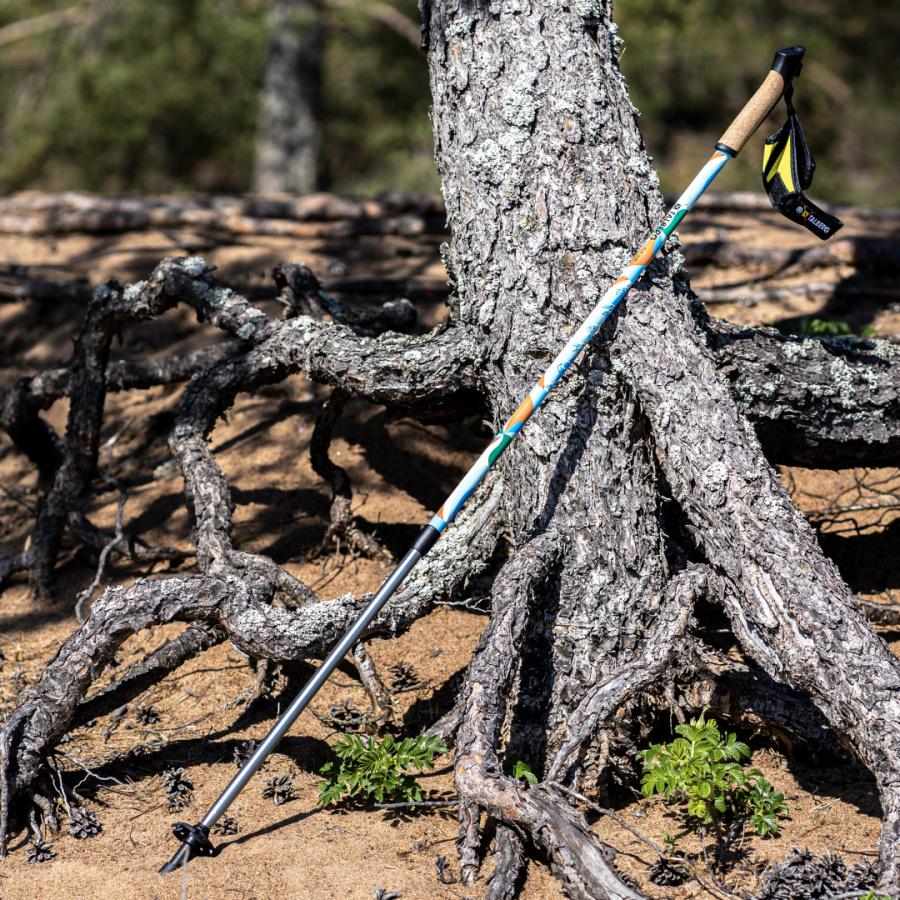 ENERGY палки для скандинавской ходьбы (1 пара, розово-желтый)