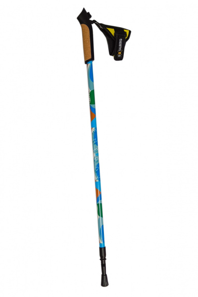 Talberg energy палки для скандинавской ходьбы (1 пара, синий)