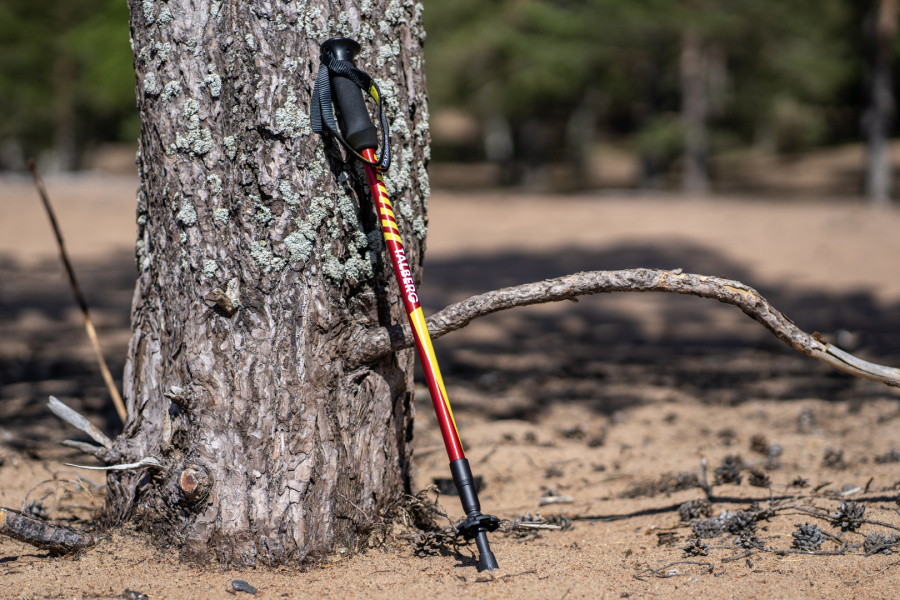 CLASSIC POLE палки треккинговые (1 пара, чёрный)