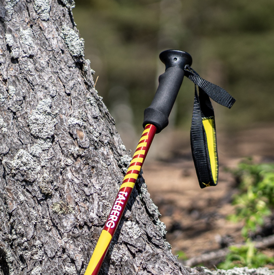 CLASSIC POLE палки треккинговые (1 пара, чёрный)