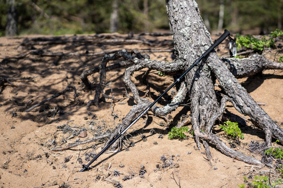 ASTRA-Z POLE палки треккинговые (черный)