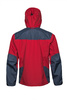rex_red_dark_grey_02.jpg