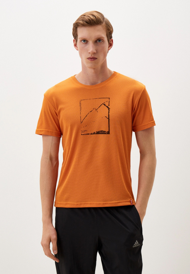 Футболка Pass Мужская (L, 3300/апельсин, , , , , )