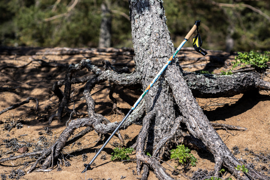 ENERGY палки для скандинавской ходьбы (1 пара, розово-желтый)