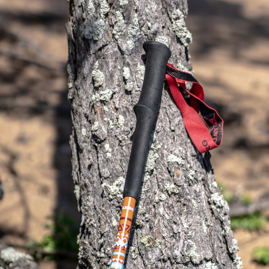 RANGER POLE палки треккинговые (коричневый)