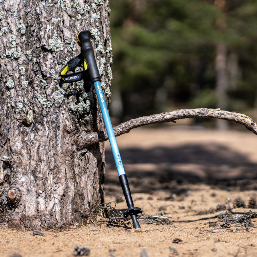 COMPACT POLE палки треккинговые_ (синий)