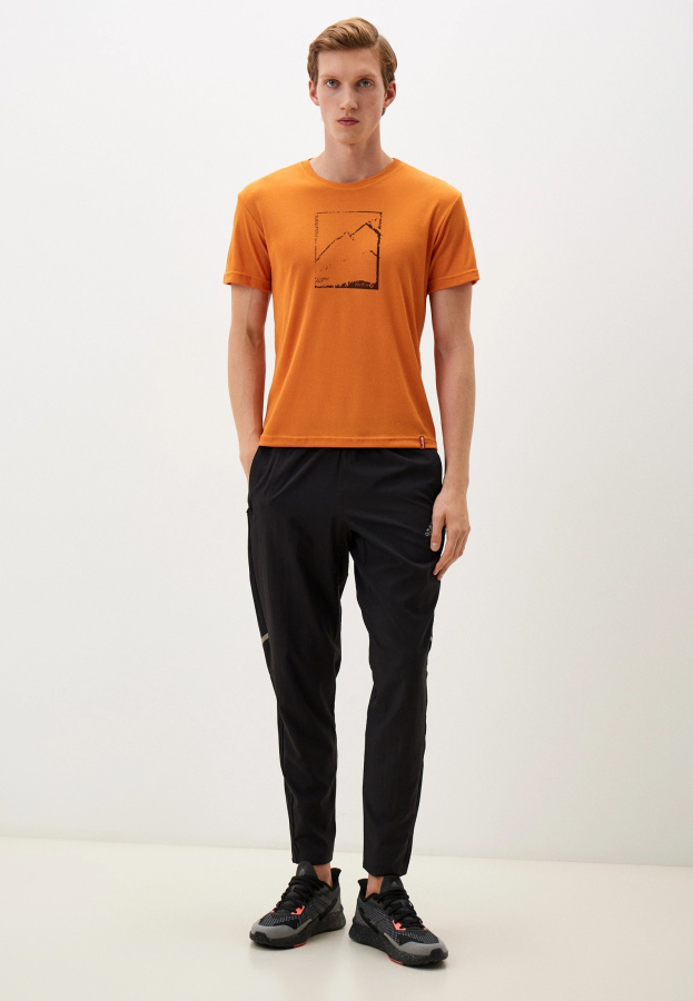 Футболка Pass Мужская (L, 3300/апельсин, , , , , )