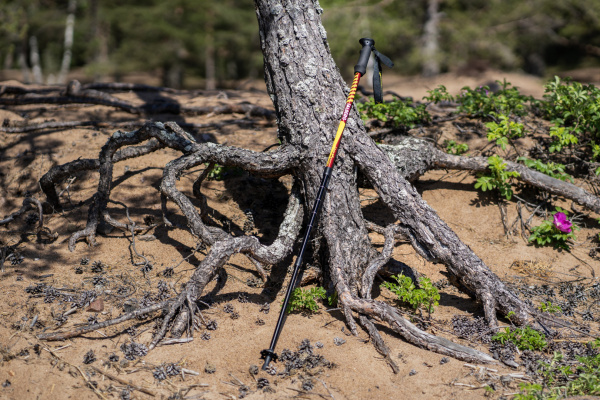 Talberg classic pole палки треккинговые (1 пара, красный)