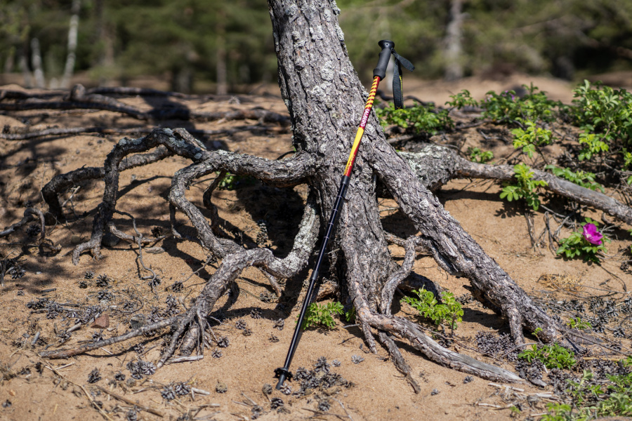 CLASSIC POLE палки треккинговые (1 пара, чёрный)