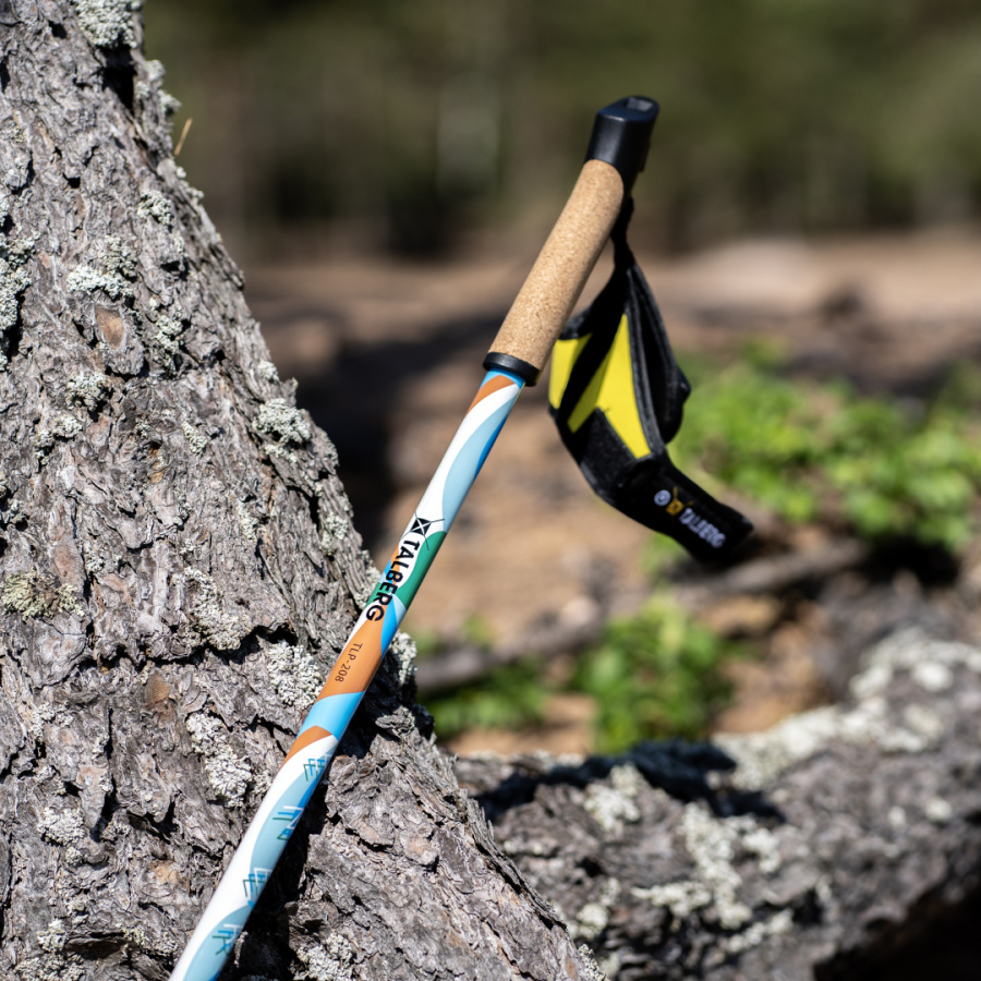 ENERGY палки для скандинавской ходьбы (1 пара, розово-желтый)