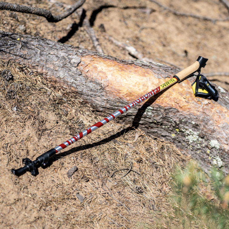 NORDICA палки для скандинавской ходьбы (1 пара, красный)