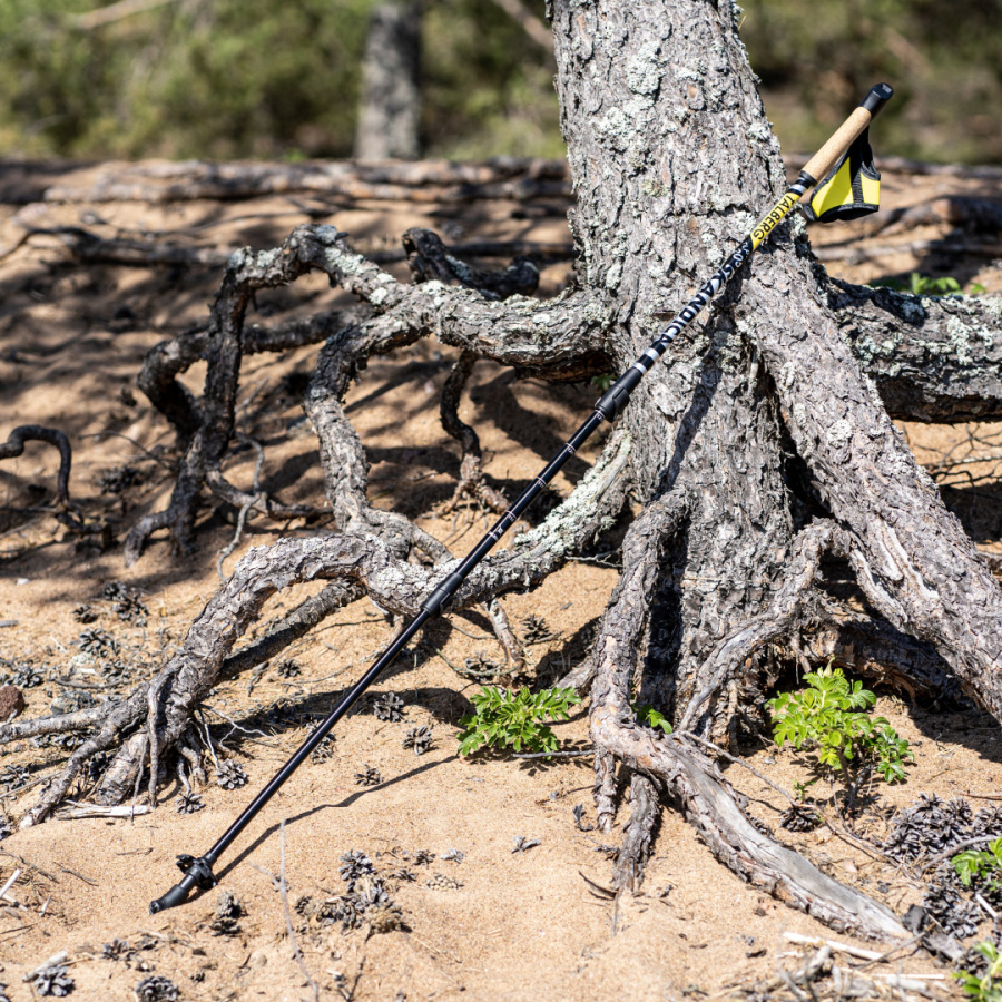 SCANDICA палки для скандинавской ходьбы (1 пара, чёрный)