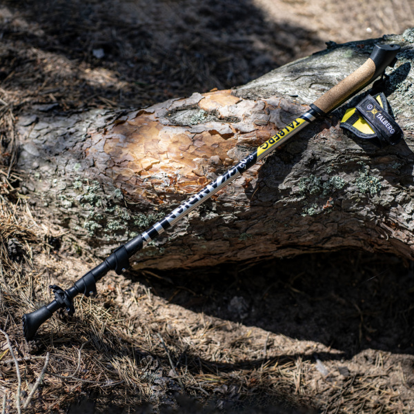 Talberg scandica палки для скандинавской ходьбы (1 пара, красный)