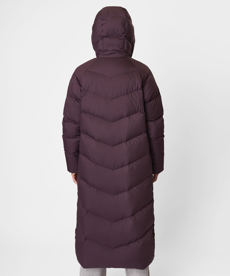 rf_20260220_-1183 copy.jpg