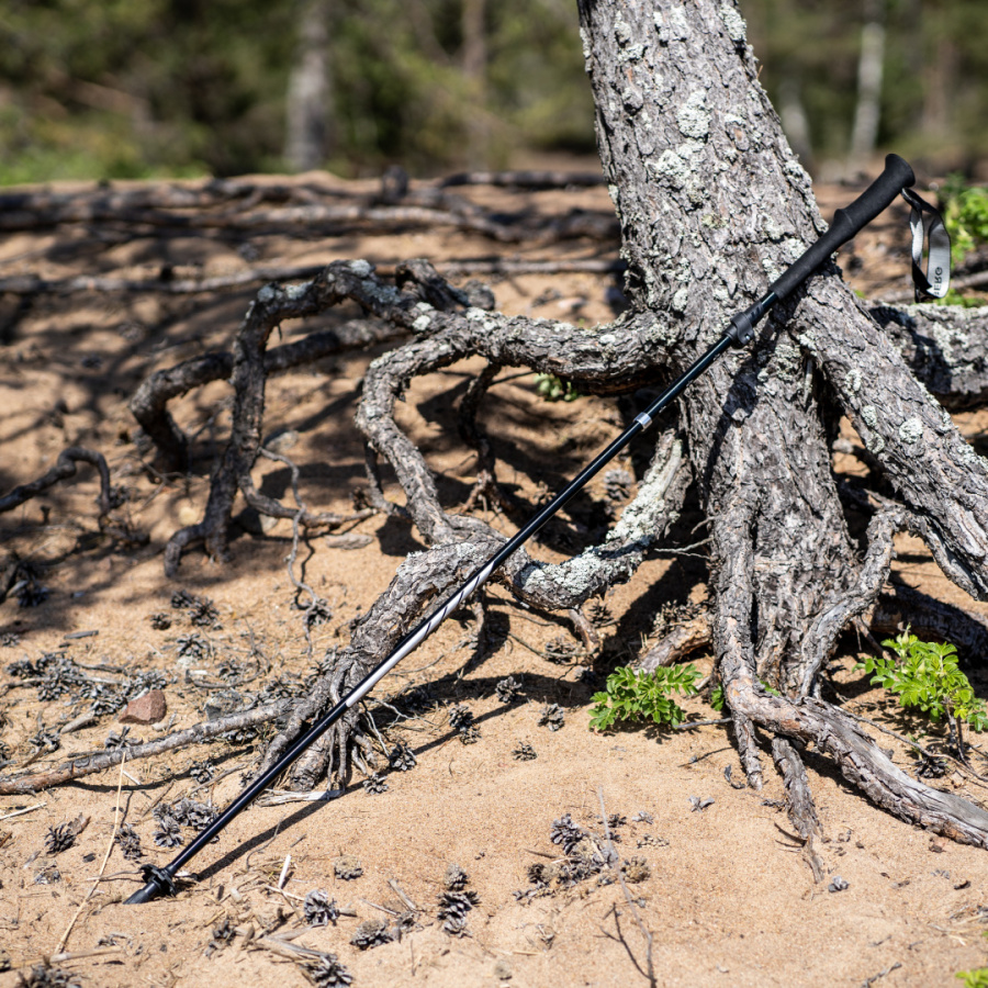 ASTRA-Z POLE палки треккинговые (черный)