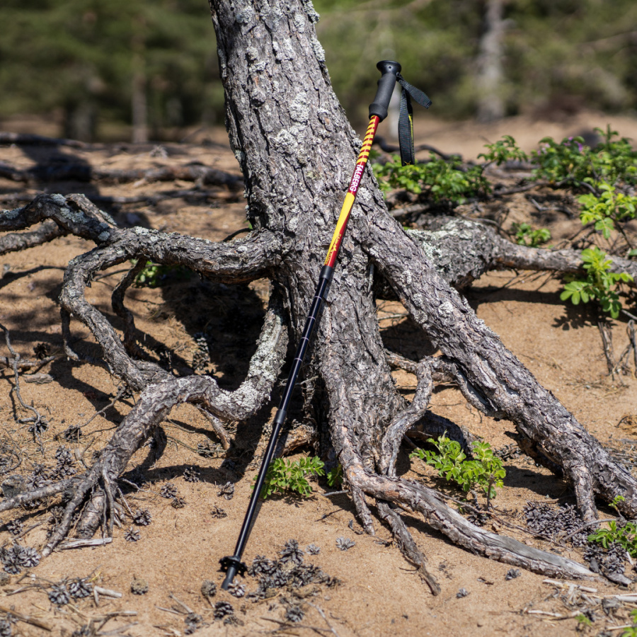 CLASSIC POLE палки треккинговые (1 пара, чёрный)