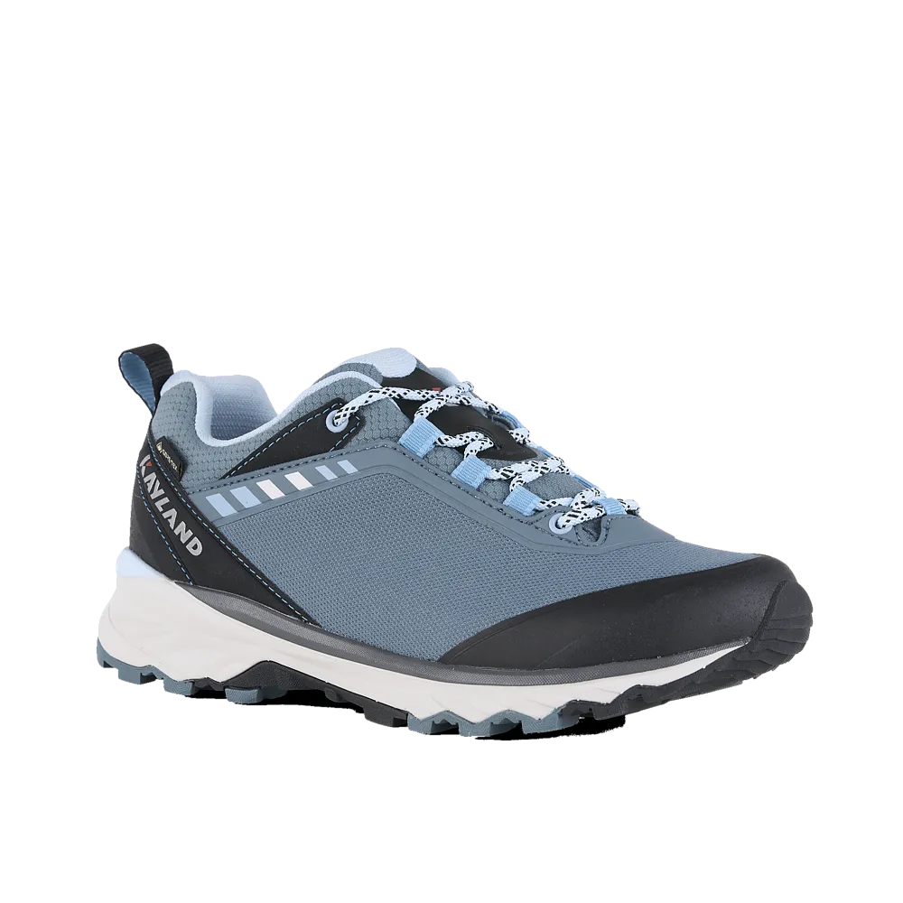 Ботинки STRIDER W'S GTX
