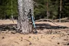 COMPACT POLE палки треккинговые_ (зеленый)