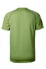 plain_green_02.jpg