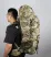 SAMSTRONG b0442 blue fox 70a. походный рюкзак (70 камуфляж)