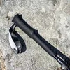 ASTRA-Z POLE палки треккинговые (черный)