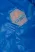clever_bright_blue_grey_009.jpg