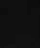 dsc02110.jpg